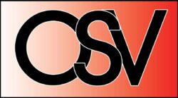 Oberlungwitzer Sportverein e.V.